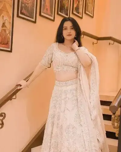 Escort Narendra Nagar
